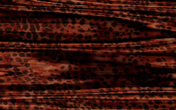 Download Abstract Animal Skin Texture Backgrounds - Texture Collection