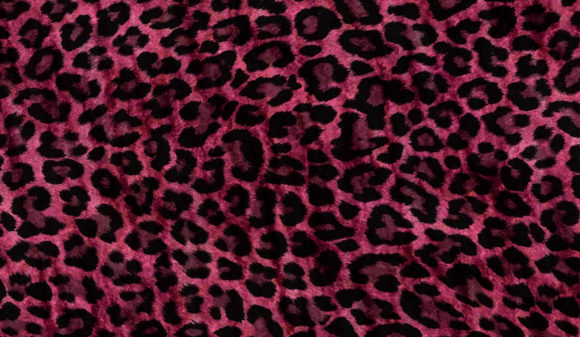 Download Abstract Animal Skin Texture Backgrounds - Texture Collection